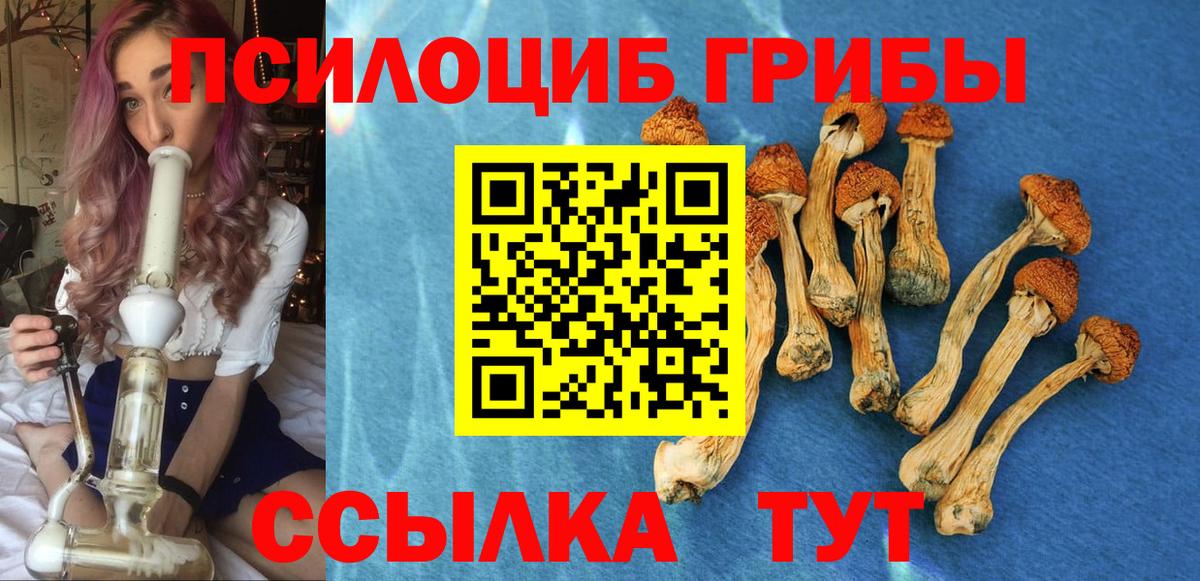 Псилоцибиновые грибы Magic Shrooms  Вход с VPN  Похвистнево  Галлюциногенные грибы GOLDEN TEACHER 