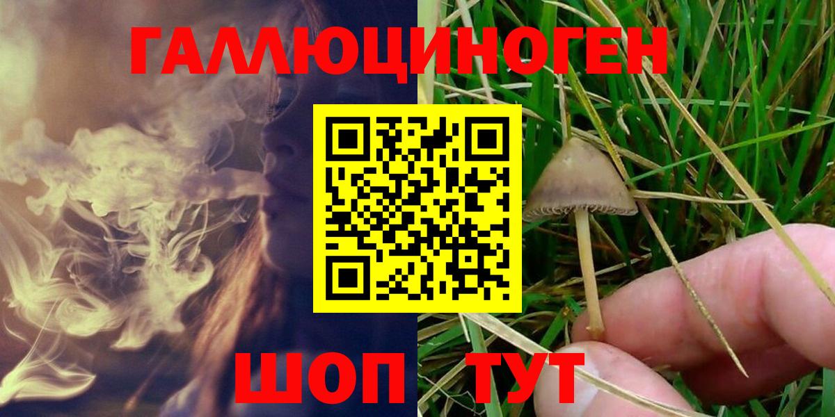 Псилоцибиновые грибы мухоморы Похвистнево